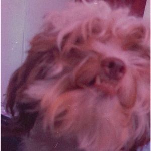 Meet your Posher, Angie